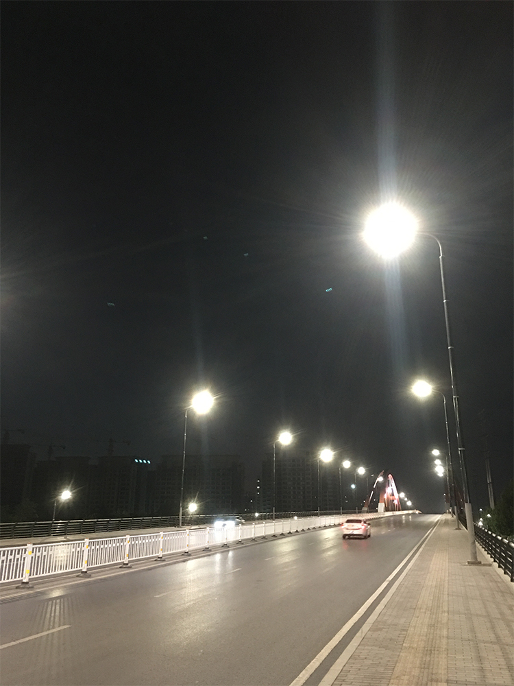 120W-150W Vertical Solar Light Pole With Flexible Solar Panel On Pole-NEWLIGHT ENERGY 120W-150W Vertical Solar Light Pole With Flexible Solar Panel On Pole-NEWLIGHT ENERGY