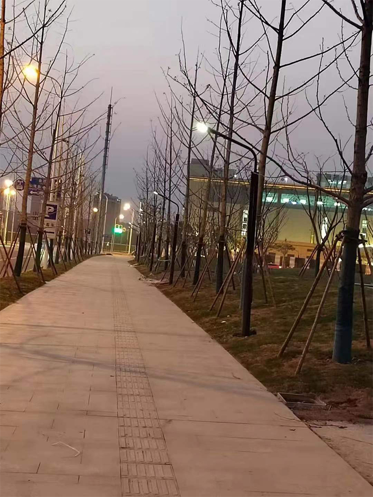 30W Solar Wrap Street Light Vertical Solar Light 2FSG119-NEWLIGHT ENERGY 30W Solar Wrap Street Light Vertical Solar Light 2FSG119-NEWLIGHT ENERGY