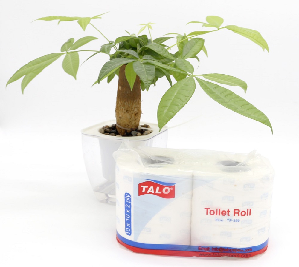Virgin Wood Pulp Paper