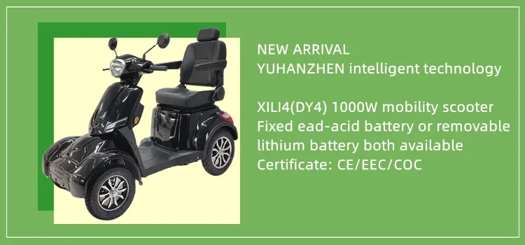 EEC Certified 2000W Electric Scooter with Pedal Assist