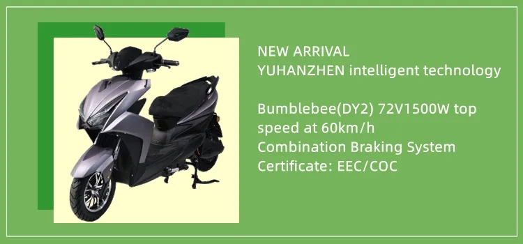 EEC Certified 2000W Electric Scooter with Pedal Assist