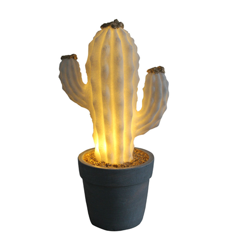 Cactus dans la boîte de batterie de pot LED lumière