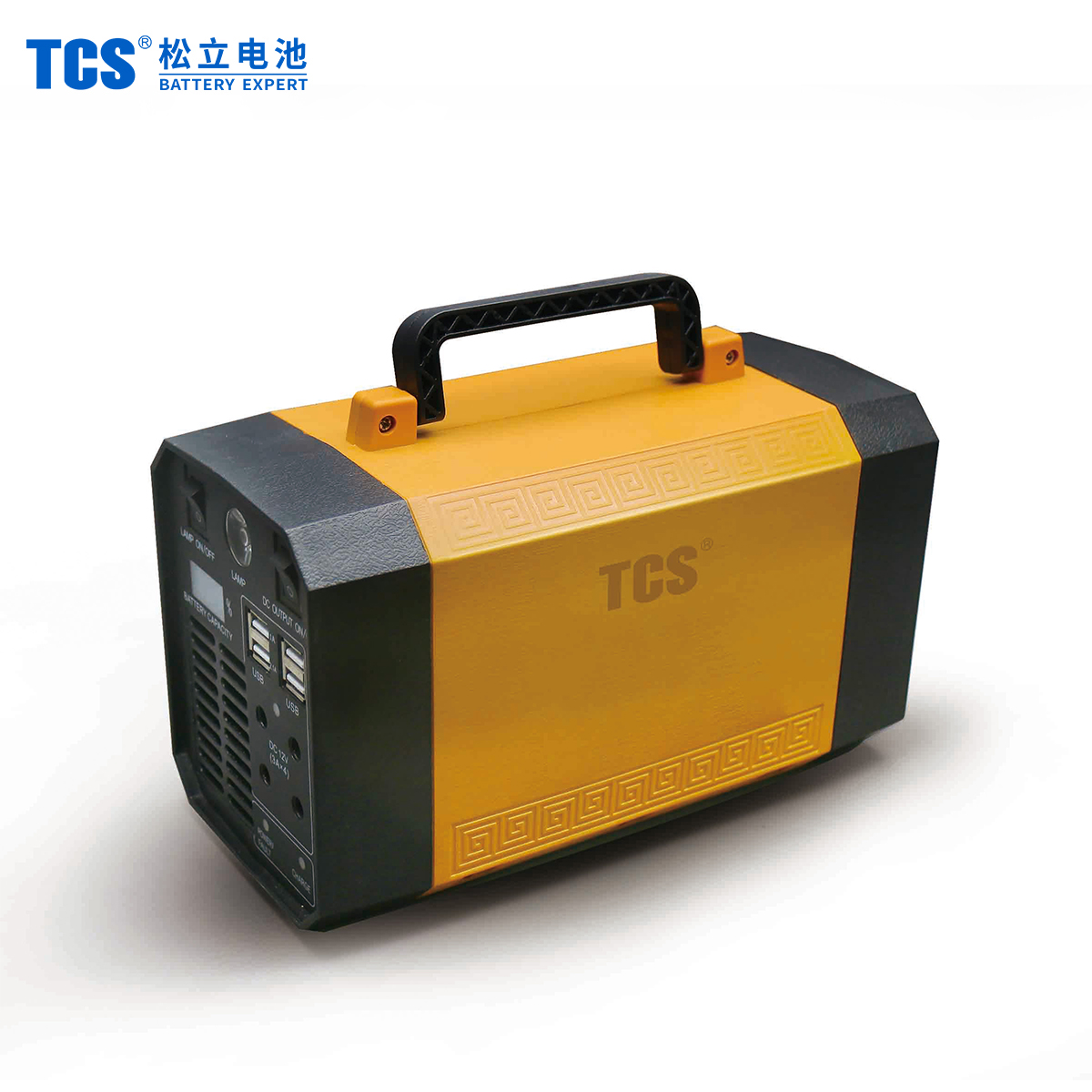Batterie de lithium de l'alimentation portable extérieure TLB300 TCS Batterie