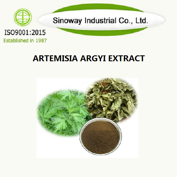 Artemisia Argyi Extrait