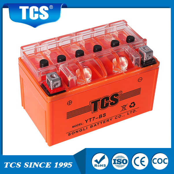 TCS Maintenance Batterie d'acide au plomb Gel YT7-BS