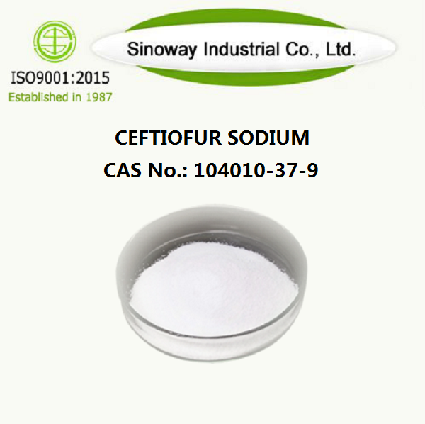Ceftiofur sodique 104010-37-9