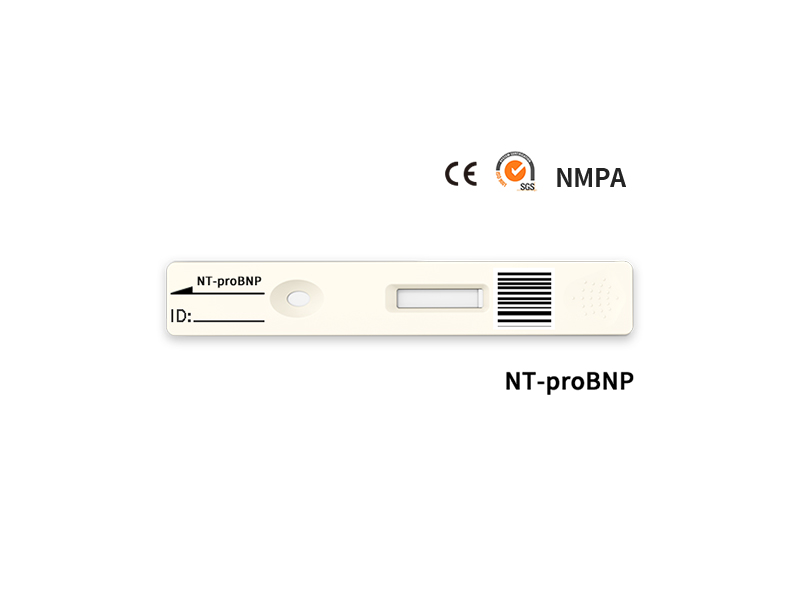 Test quantitatif rapide NT-PROBNP