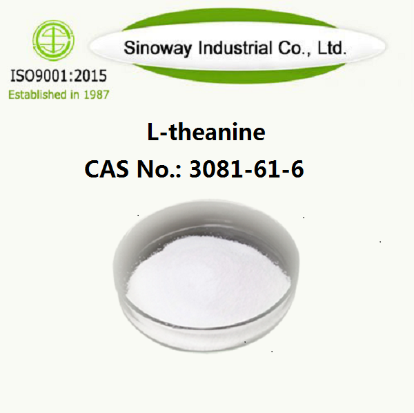 L-théanine 3081-61-6