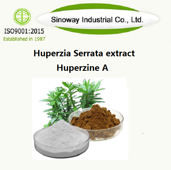 Extrait d'Huperzia Serrata / Huperzine A 102518-79-6
