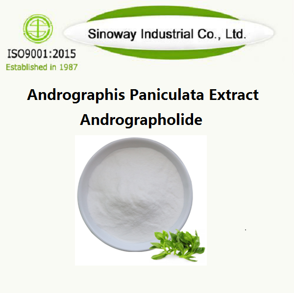 Extrait d'Andrographis paniculata/Andrographolide