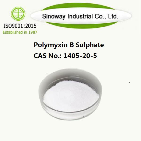 Sulfate de polymyxine B 1405-20-5