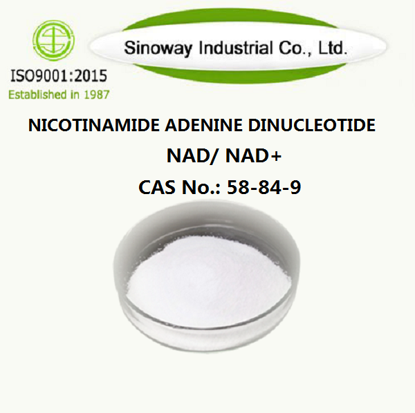 Nicotinamide adénine dinucléotide NAD 53-84-9