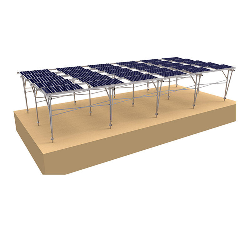 Vente en gros combinant système de panneaux solaires et agriculture