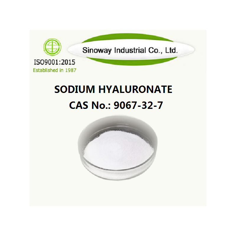 Hyaluronate de sodium 9067-32-7